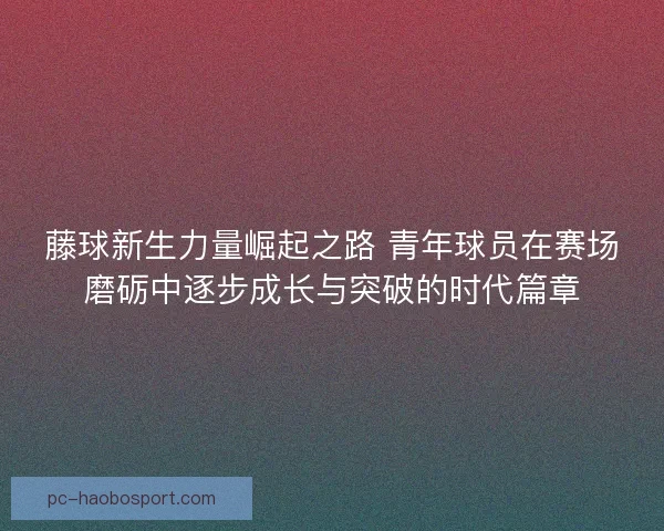 藤球新生力量崛起之路 青年球员在赛场磨砺中逐步成长与突破的时代篇章