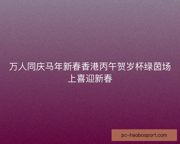 万人同庆马年新春香港丙午贺岁杯绿茵场上喜迎新春 万人同庆马年新春香港丙午贺岁杯绿茵场上喜迎新春